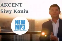 Nowość: Akcent - Siwy koniu