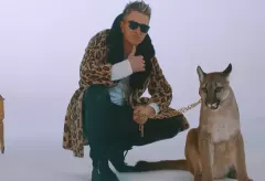 Kocia nutka od Markusa P zdobyła milion