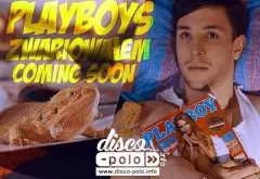 Trailer: Playboys - Zwariowałem (VIDEO)