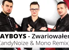 Nowość: Playboys - Zwariowałem (CandyNoize & Mono Remix)