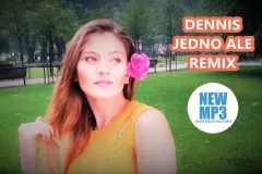 Nowość: Dennis - Jedno Ale (Sky Dee Joy Remix)