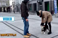 Making of: Zanoza przygotowała nowość pt. „Pies GPS" | VIDEO