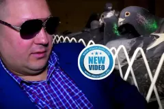 Nowość: Magik Band - Bo ja jestem biznesmenem | VIDEO