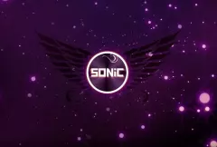 SONiC - Dzika plaża | NOWOŚĆ