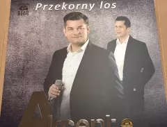 Wylicytuj winylową płytę grupy Akcent! Edycja limitowana tylko 200 sztuk!