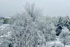 Zgadnijcie, który artysta ma taki widok za oknem. A Wy, jakie macie? Wklejcie zdjęcie w komentarzu