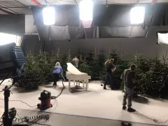 Idą święta! W branży disco polo już się zaczyna!