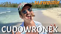„Cudowronek„ Sławomira to najbardziej kontrowersyjna piosenka roku! Fani mocno podzieleni! 