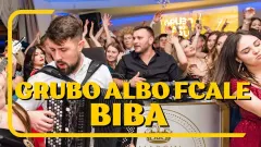 Nowy zespoł zaatakował branże disco polo! Grubo albo Fcale, podbiją rynek i zgarną fortunę?! 
