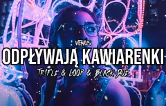 W latach ”90 była królową disco! „Odpływają Kawiarenki„ Venus pojawiły się w nowej, klubowej odsłonie!
