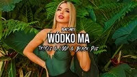 Baciary - Wódko Ma (Tr!Fle & LOOP & Black Due REMIX)