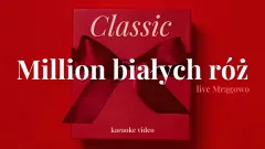 Classic - Milion białych róż 