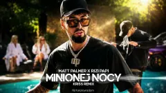 Matt Palmer x Rizi Papi - Minionej Nocy (KRISS REMIX 2026)