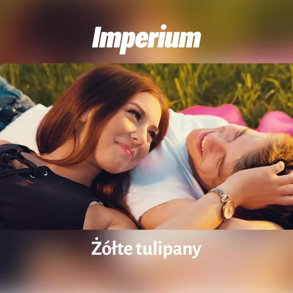 Imperium - Żółte tulipany