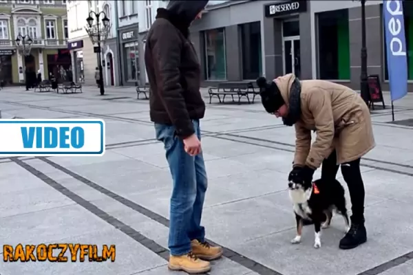 Making of: Zanoza przygotowała nowość pt. „Pies GPS" | VIDEO