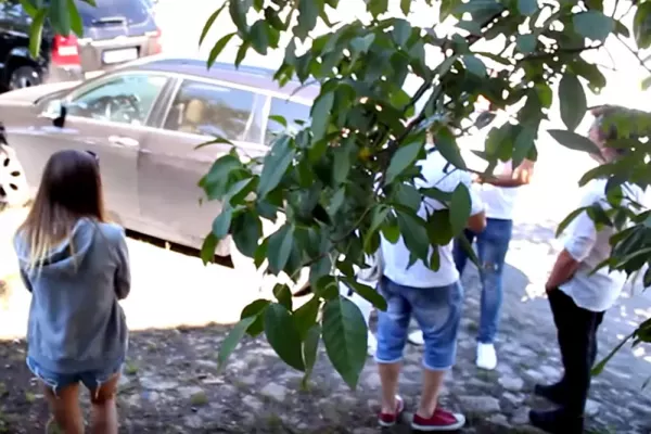 Lada moment na rynku disco polo będzie dostępne Zioło! 