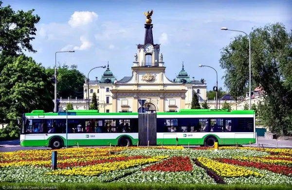 "To wszystko dlatego, że Białystok to stolica disco polo" - zobaczcie video