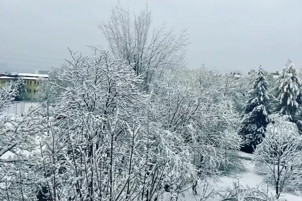 Zgadnijcie, który artysta ma taki widok za oknem. A Wy, jakie macie? Wklejcie zdjęcie w komentarzu