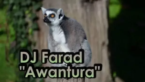 DJ Farad - Awantura