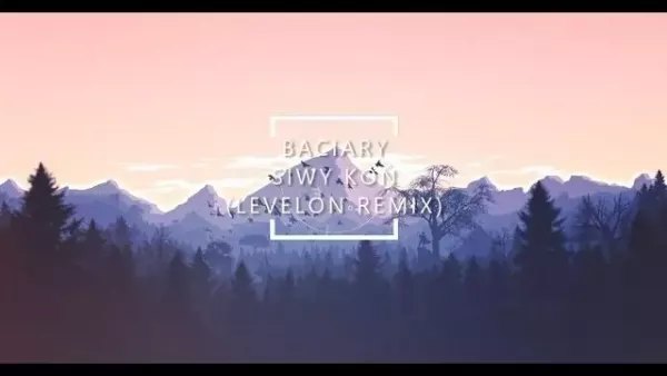 Baciary - Siwy Koń (Levelon Remix)