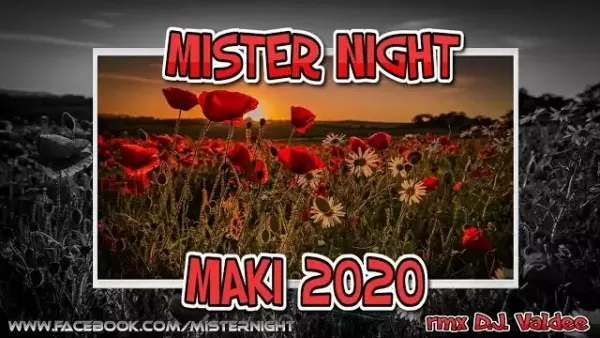Mister Night - Maki 2020 (rmx DJ Valdee)