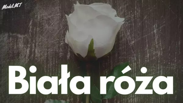 Arek Kopaczewski - Biała róża