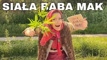 Casandra & MR.MAX - Siała Baba Mak