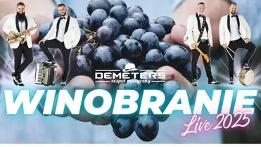 Demeters - Winobranie (live wesele 2025)