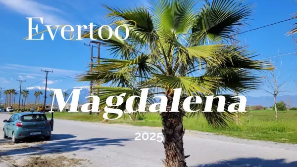 Evertoo - Magdalena 2025