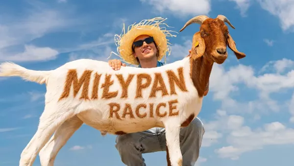 MiłyPan - Racice