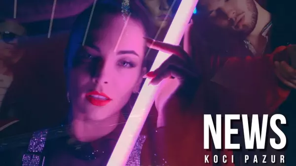 News - Koci pazur