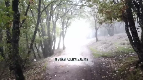 Raf z - Mimozami jesień się zaczyna