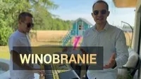 Showman - Winobranie