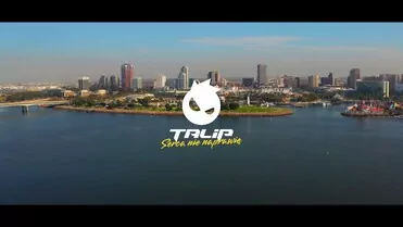 Talip - Serca nie naprawię