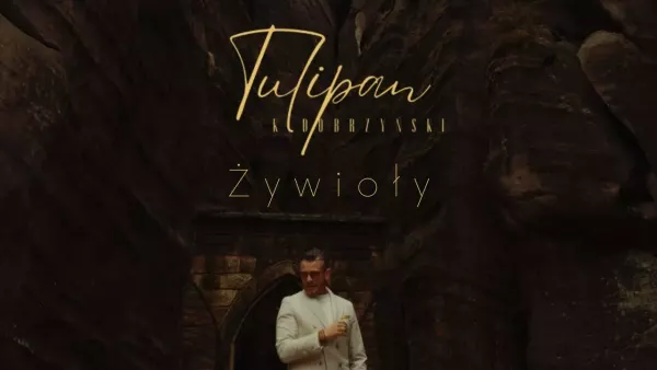 Tulipan - Żywioły