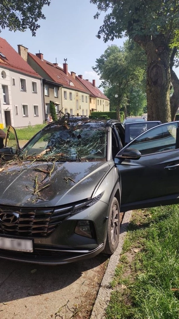 Wielki konar spadł na auto gwiazdora disco polo! Auto zniszczone! Artysta podróżował z żoną [ZDJĘCIA]
