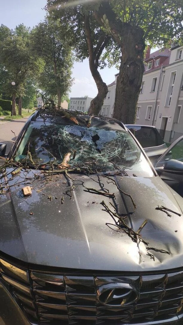 Wielki konar spadł na auto gwiazdora disco polo! Auto zniszczone! Artysta podróżował z żoną [ZDJĘCIA]