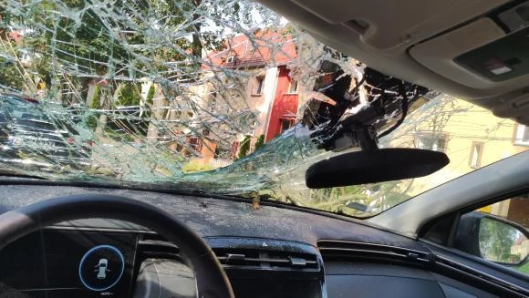 Wielki konar spadł na auto gwiazdora disco polo! Auto zniszczone! Artysta podróżował z żoną [ZDJĘCIA]