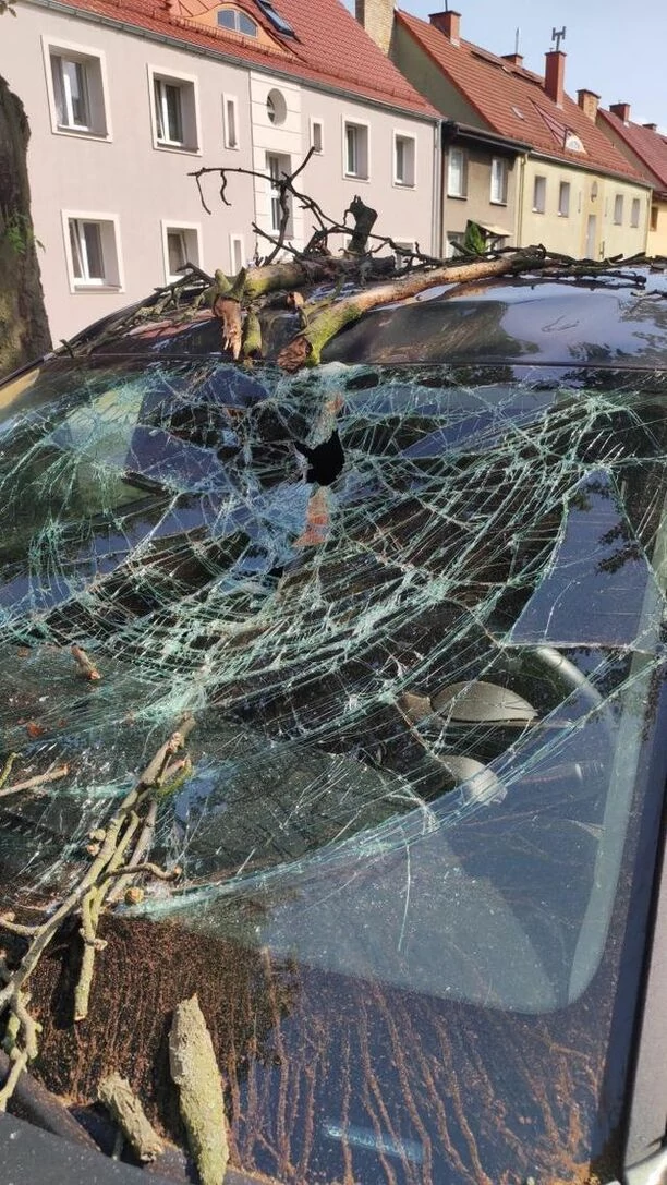 Wielki konar spadł na auto gwiazdora disco polo! Auto zniszczone! Artysta podróżował z żoną [ZDJĘCIA]