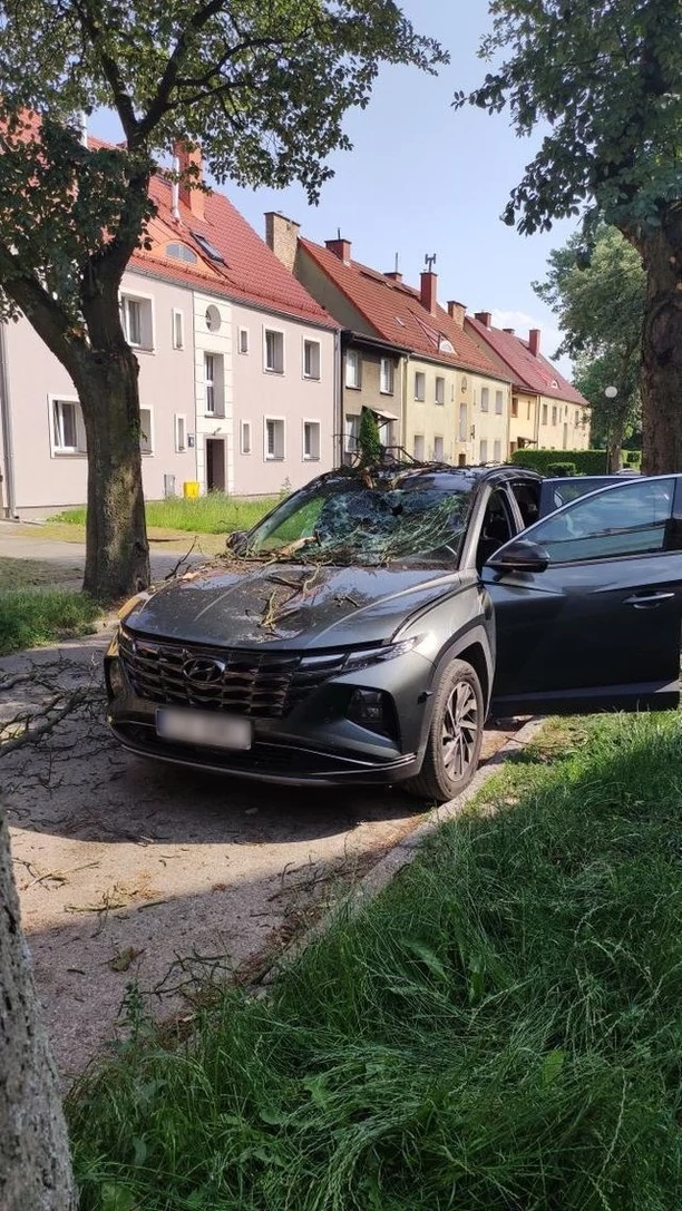 Wielki konar spadł na auto gwiazdora disco polo! Auto zniszczone! Artysta podróżował z żoną [ZDJĘCIA]