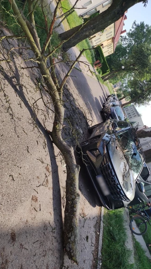 Wielki konar spadł na auto gwiazdora disco polo! Auto zniszczone! Artysta podróżował z żoną [ZDJĘCIA]