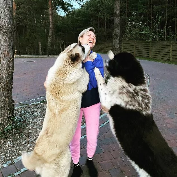 Te psy chronią dom Magdy Narożnej?! Wokalistka disco polo pokazała się z nimi w sieci! Są ogromne! 