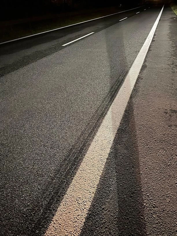 Wypadek gwiazd disco polo! Samochód zespołu Menelaos uderzył w sarnę na drodze [Zdjęcia]