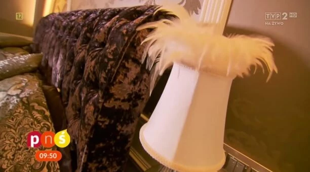 Król disco polo mieszka w 230-metrowym domu! Zenon Martyniuk pokazał swoją posiadłość! Szok jak tu pięknie! 