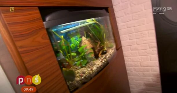 Król disco polo mieszka w 230-metrowym domu! Zenon Martyniuk pokazał swoją posiadłość! Szok jak tu pięknie! 