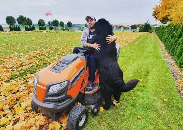 Paweł Dudek Czadoman pochwalił się swoim czworonogiem! To jeden z największych psów na świecie! 