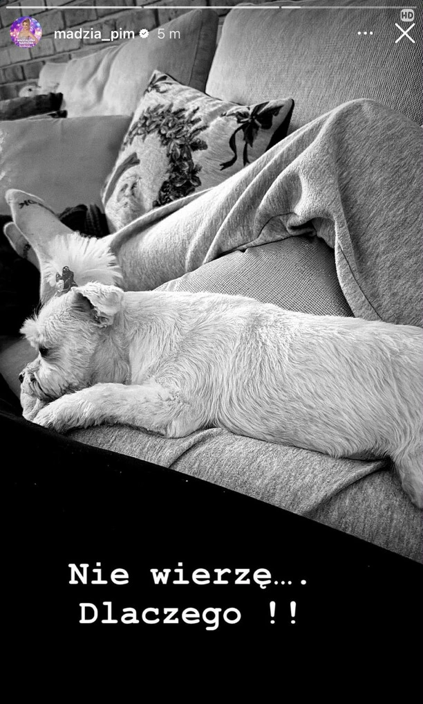 Żałoba gwiazdy disco polo! Magda Narożna przeżywa trudne chwile po stracie. W poruszającym wpisie zdradziła, co się wydarzyło