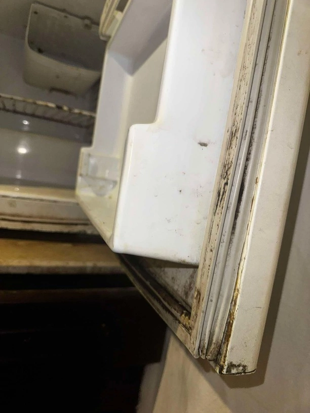 Tragiczne warunki gwiazdy disco polo! Uwaga obrzydliwe zdjęcia!