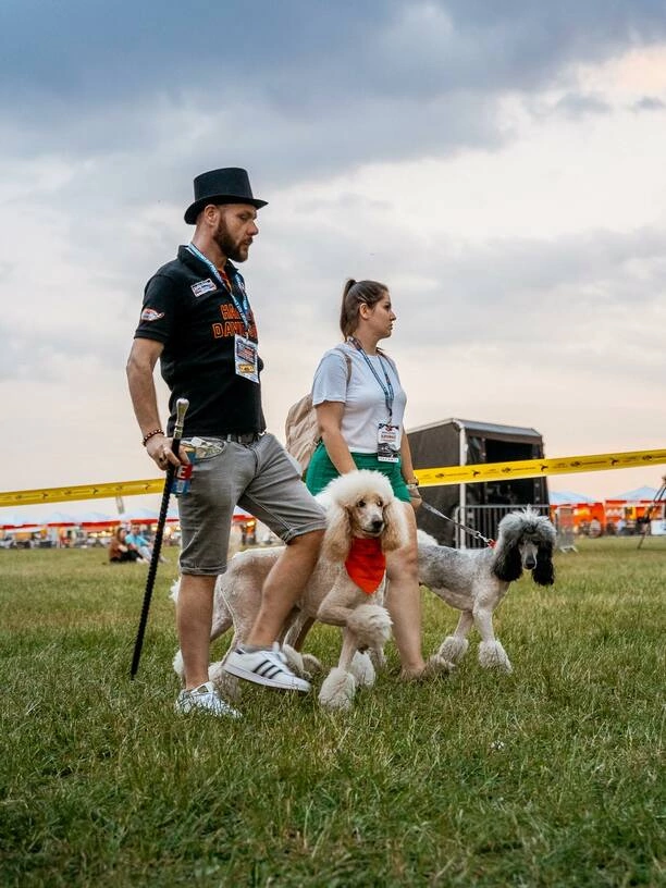 Von Prais - między sceną disco polo a miłością do pudli królewskich
