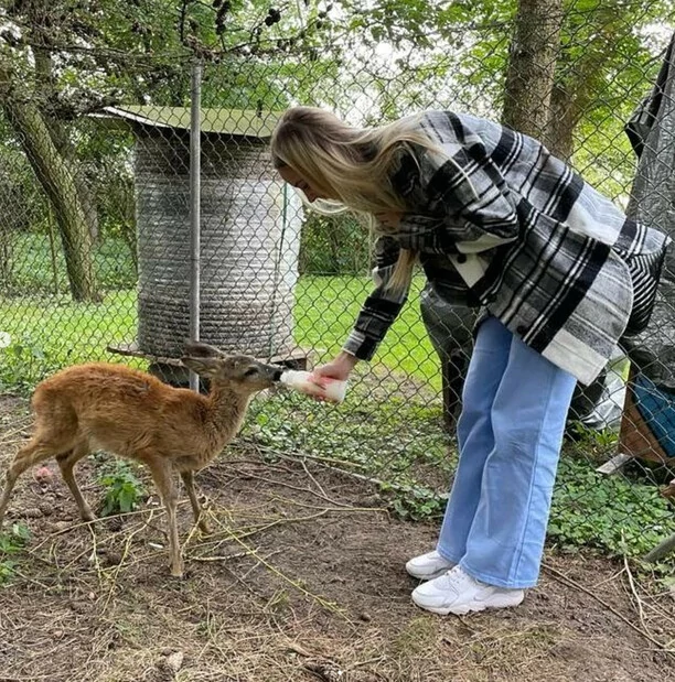 Wielkie serce Natalii Siemienieckiej z Top Girls! Gdyby nie ludzie zwierzę by nie przeżyło! 